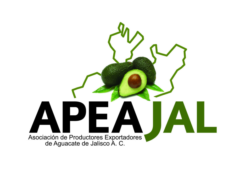 APEAJAL: la mano derecha del aguacatero