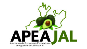 APEAJAL: la mano derecha del aguacatero