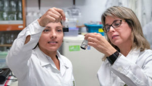 Crean nanofertilizante que incrementa la producción agrícola