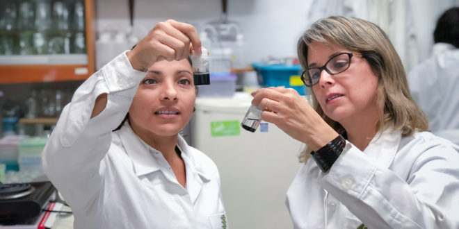 Crean nanofertilizante que incrementa la producción agrícola