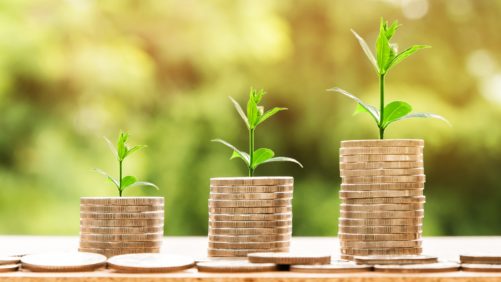 Financiamiento agroalimentario y su futuro