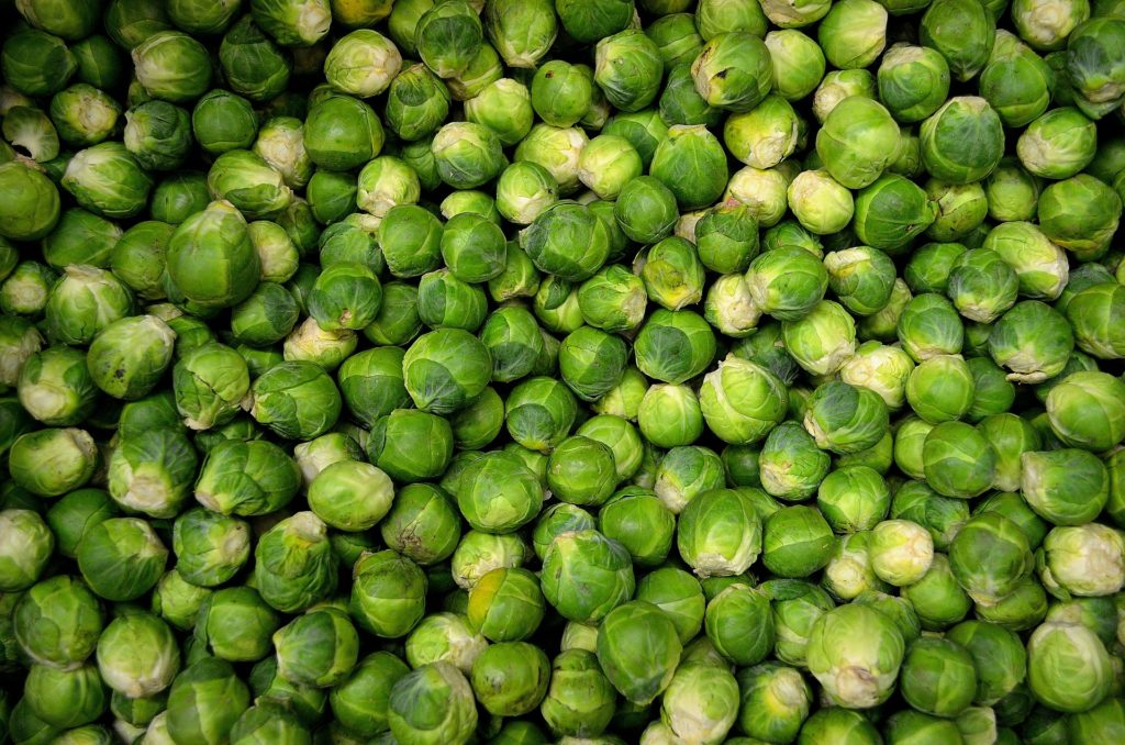 Biotecnología, al rescate de las brasicáceas