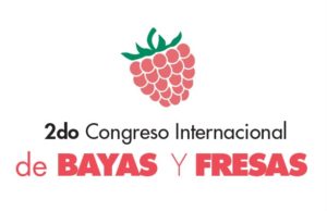 ¡Gracias por ser parte del Industry Summit!