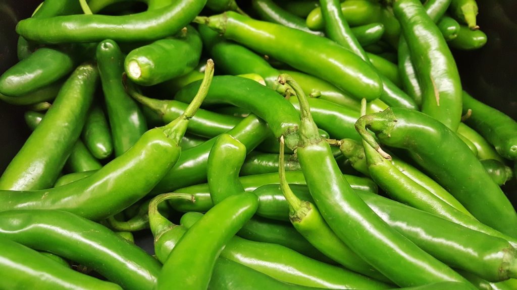 Desarrollan chile serrano con mayor rentabilidad y resistencia a enfermedades