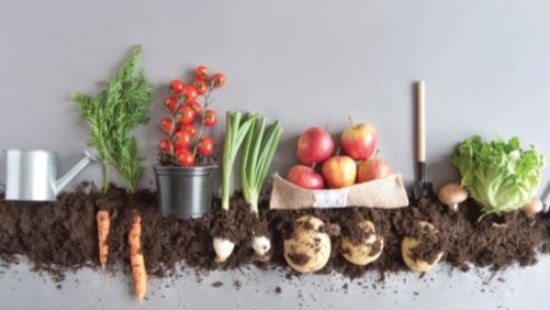 Producción orgánica vs. biorracional