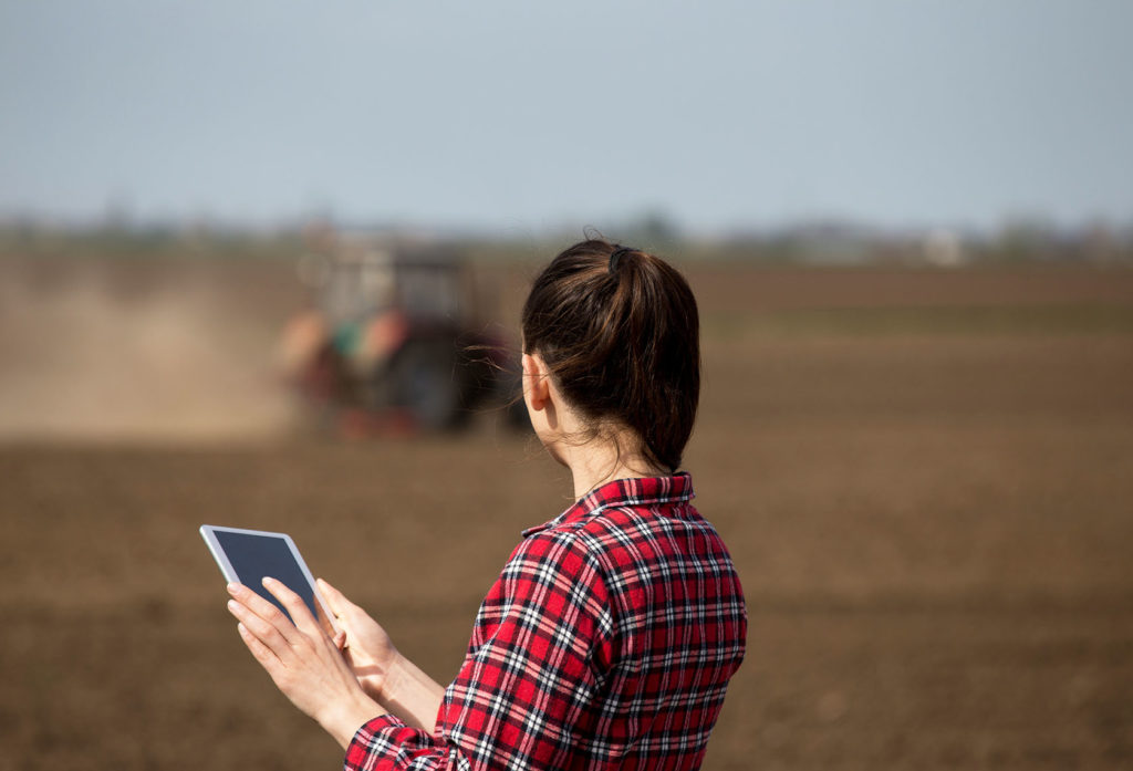 Fuerte, la participación de mujeres en el sector agrícola