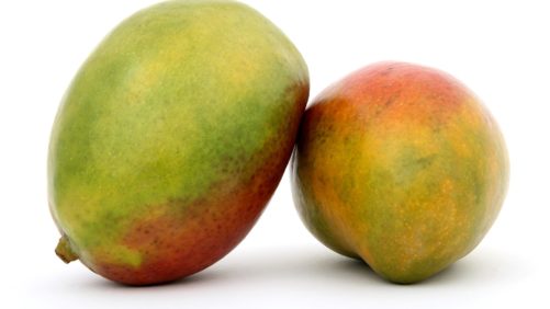 El mango de México busca su propia identidad a través de un sello de calidad