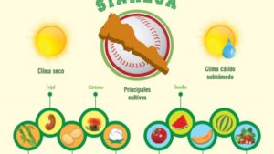 Sinaloa en la agricultura