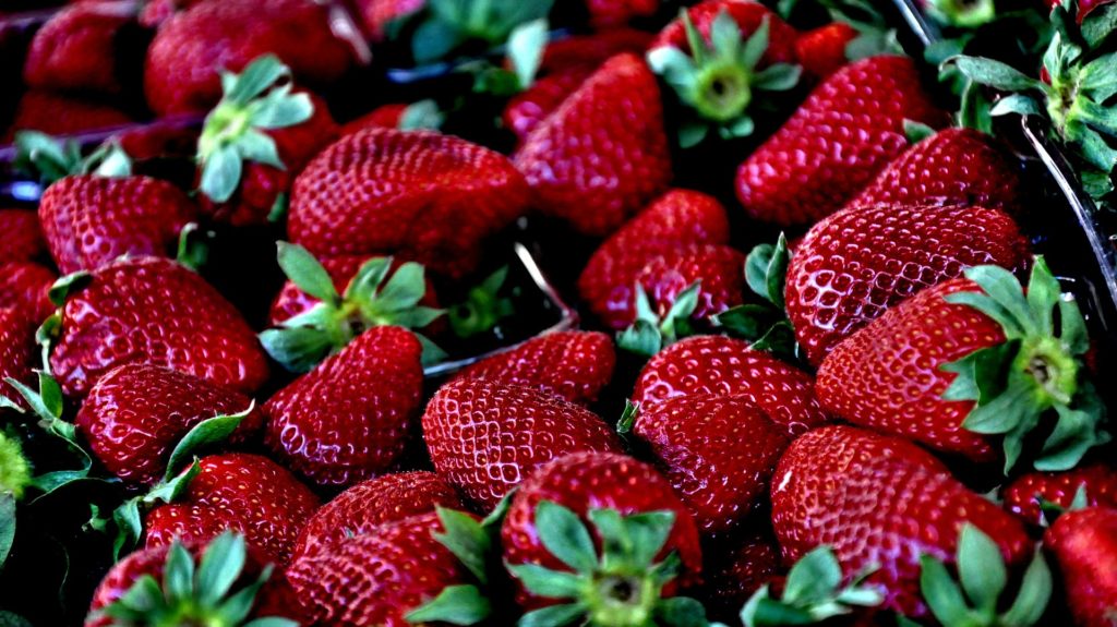 Análisis de tendencias que impactan el mercado de berries