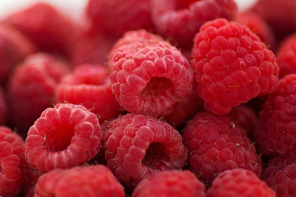 Análisis de tendencias que impactan el mercado de berries