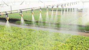 ¿Qué tan limpio está tu sistema de riego de invernadero?