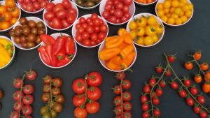 El innovador Centro Tecnológico Ahern