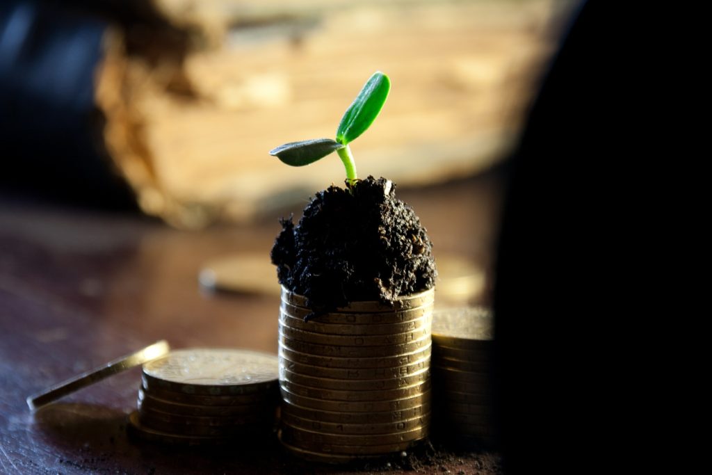 La reingeniería de la agricultura, ¿cómo hacer más con más? (1/2)