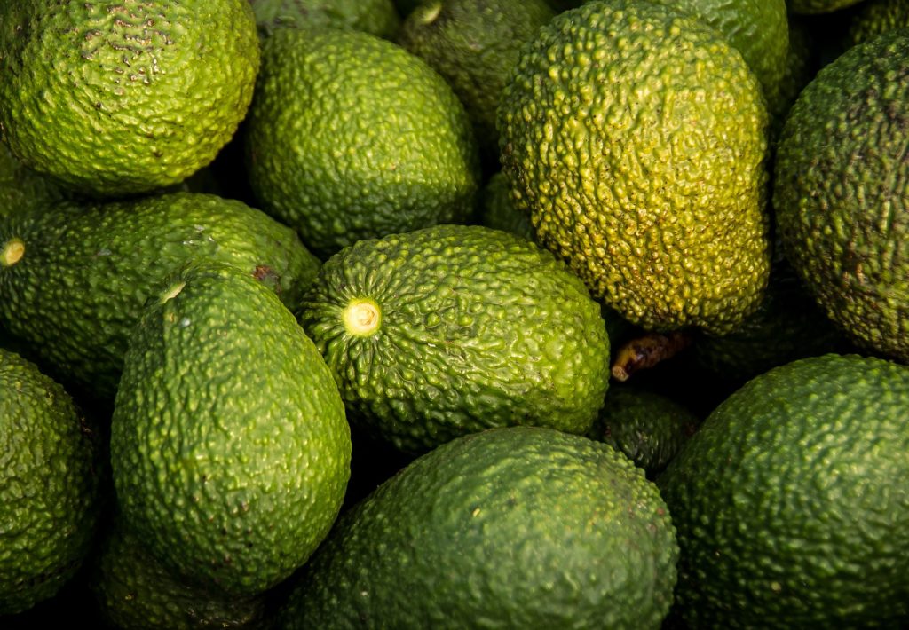 Trabajan en la apertura de 38 nuevos mercados de exportación para productos hortofrutícolas