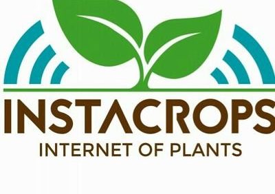 Instacrops, hablamos con las plantas