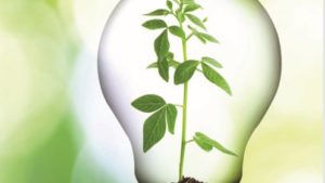 La reingeniería de la agricultura, ¿cómo hacer más con más? (2/2)