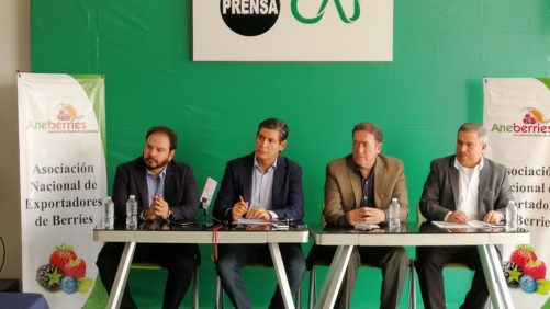 Prepárate para el 9no Congreso Internacional Aneberries