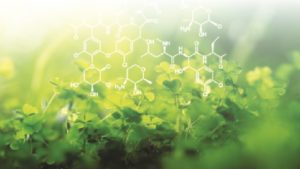 Radiografía global de la agricultura biorracional, ¿futuro o presente? (1/3)