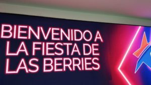 Éxito absoluto, el congreso de ANEBERRIES