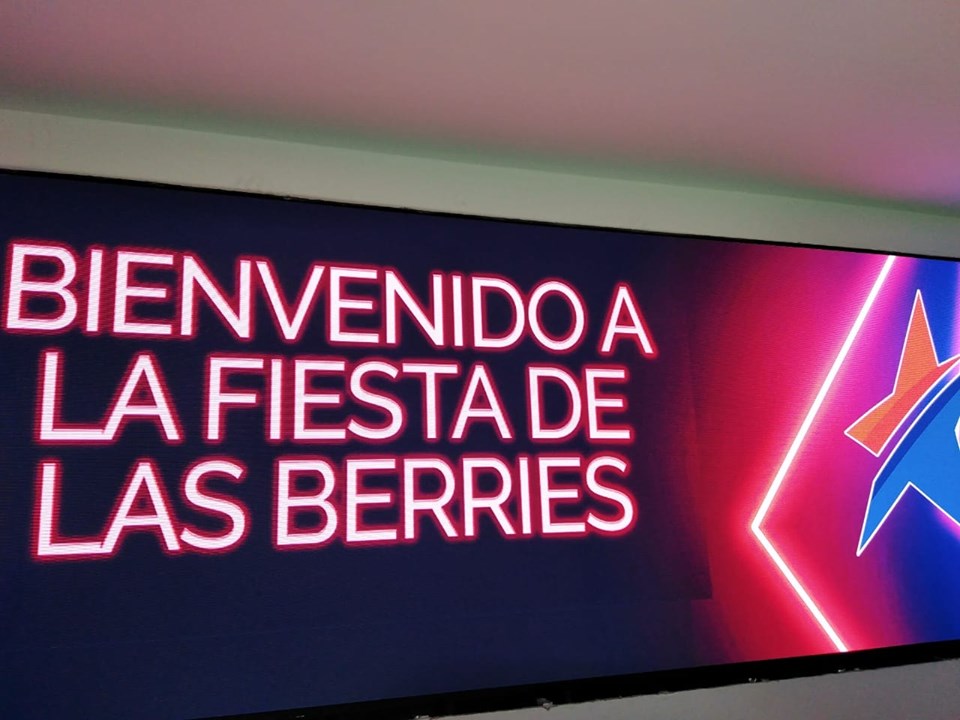 Éxito absoluto, el congreso de ANEBERRIES