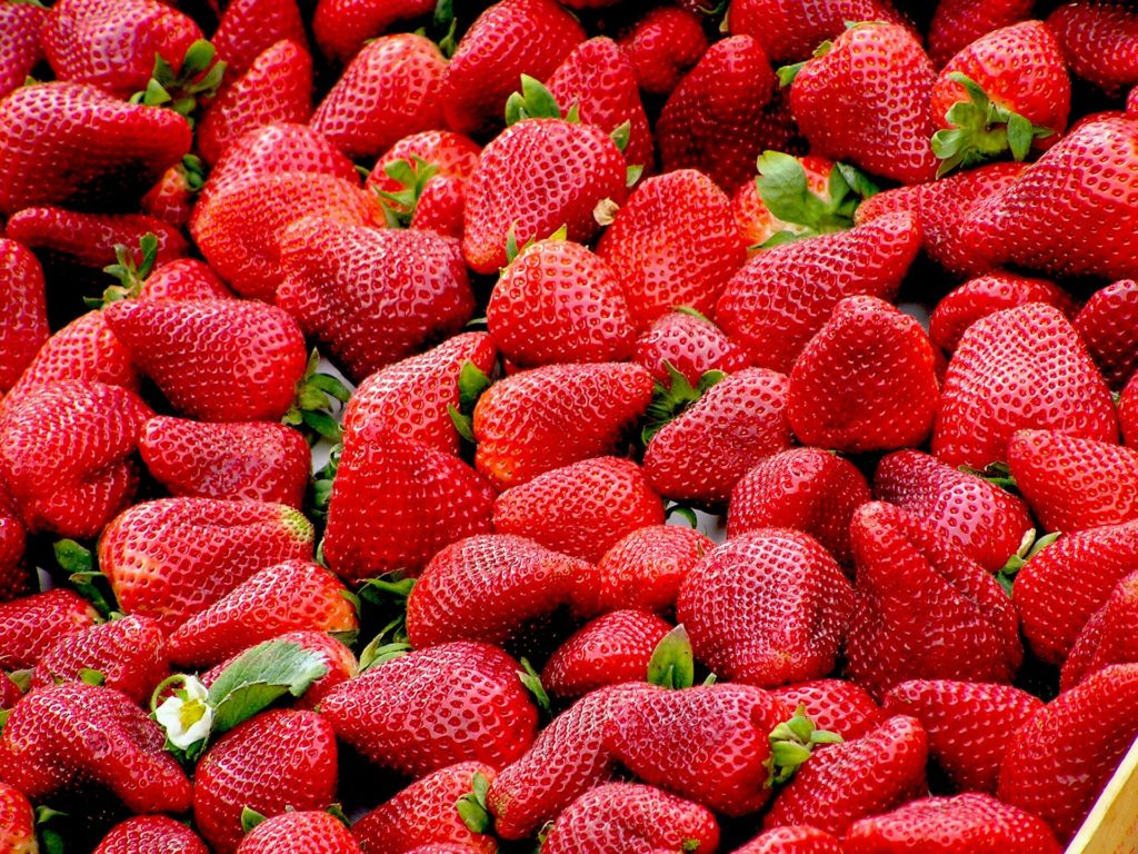 ¿Cuál es el futuro de la industria de berries?