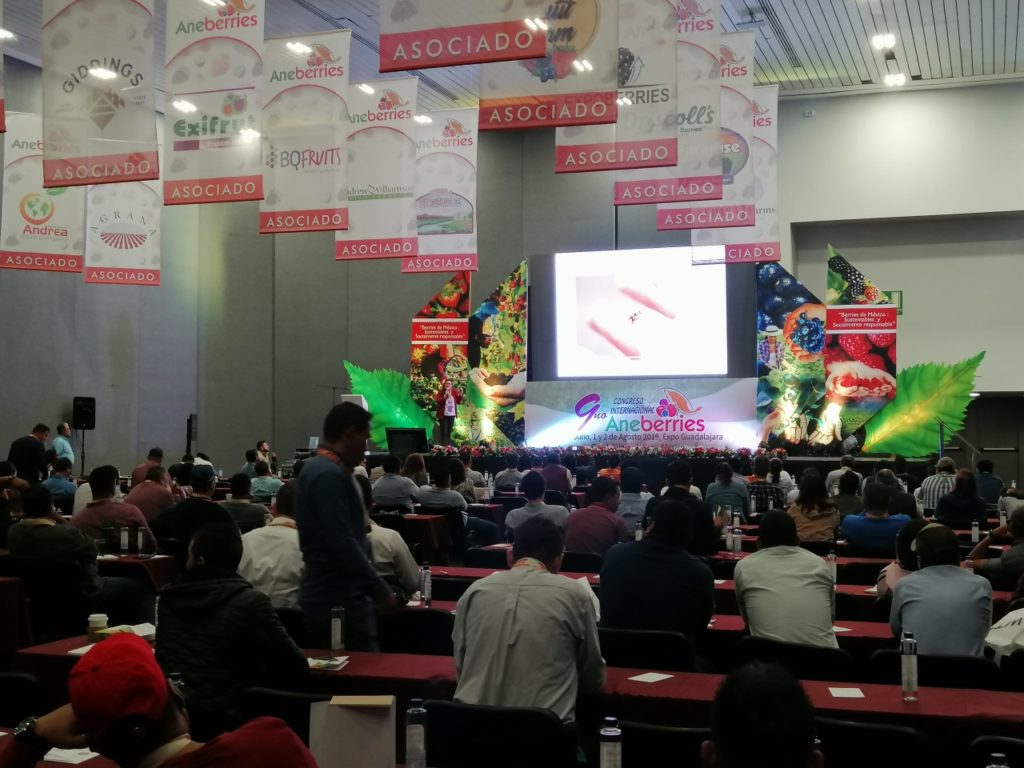 Éxito absoluto, el congreso de ANEBERRIES