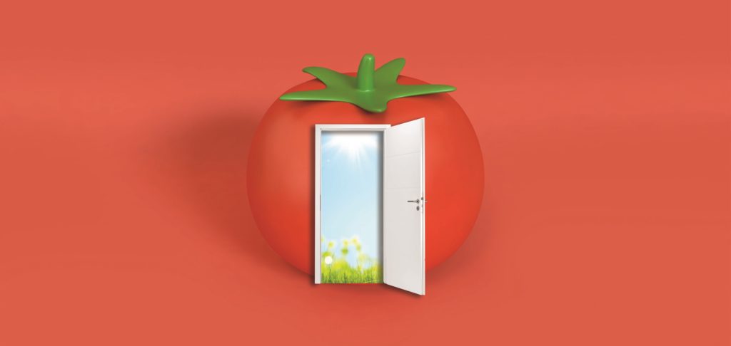 Tomate: ¿cómo sobrevivir al arancel del 17.56%?