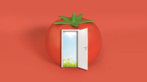 Tomate: ¿cómo sobrevivir al arancel del 17.56%?