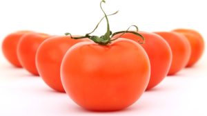 Termina la incertidumbre en la industria tomatera