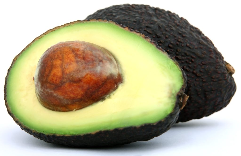 Obtienen genoma del aguacate