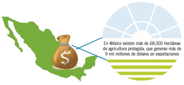 El estado de la agricultura protegida en México: misma historia, diferente industria