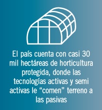 El estado de la agricultura protegida en México: misma historia, diferente industria