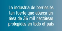 El estado de la agricultura protegida en México: misma historia, diferente industria