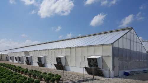 ¿Construir una nueva estructura de invernadero o sólo actualizarla?