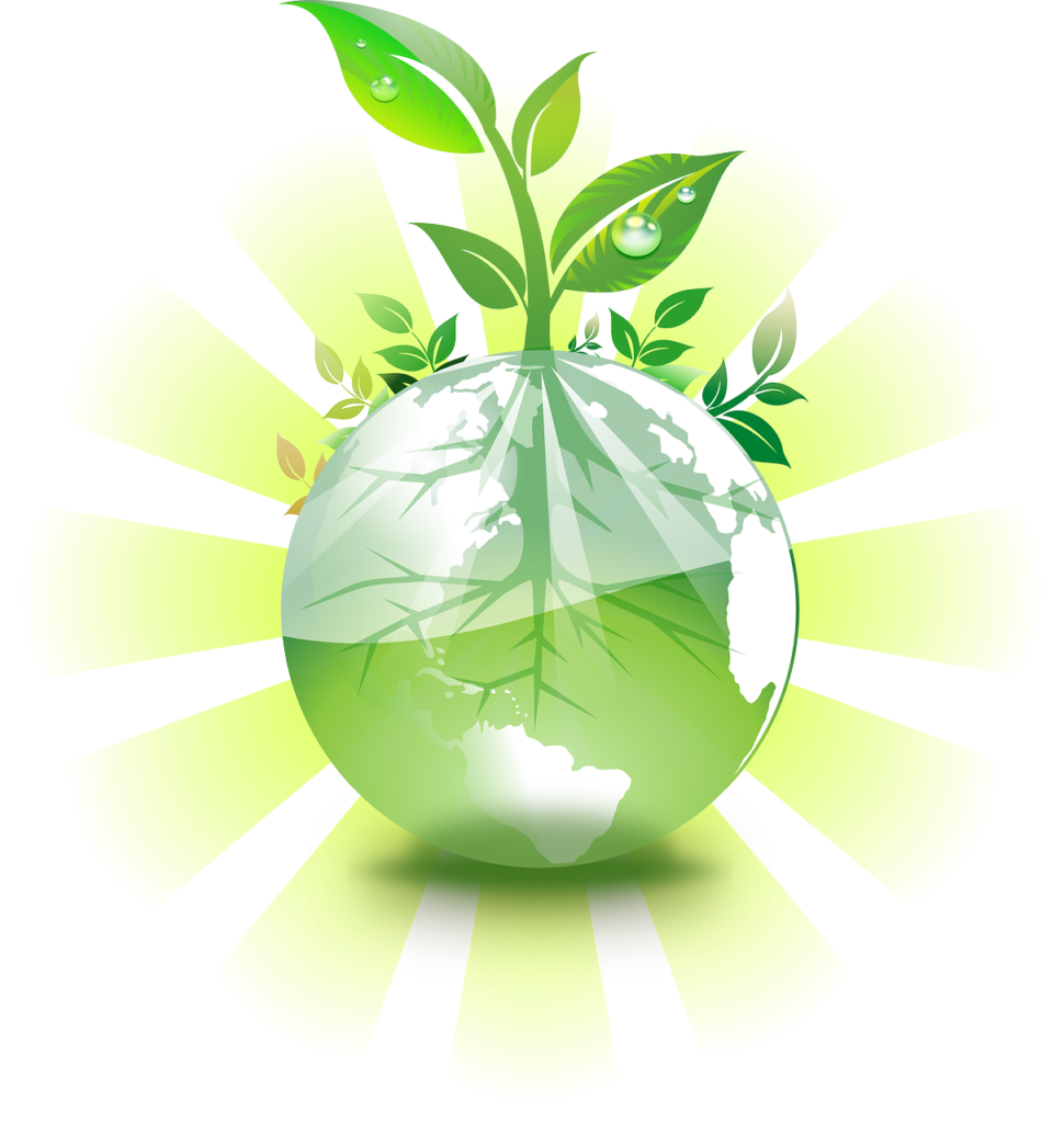 Radiografía global de la agricultura biorracional, ¿futuro o presente? (2/3)