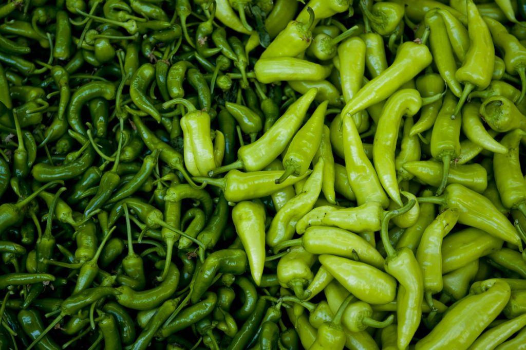 La situación económica de México en el sector agropecuario