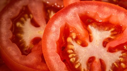 Disección del nuevo acuerdo del tomate