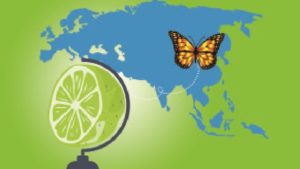 El limón de Michoacán apuesta por Asia y la Unión Europea