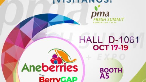 Abanderará ANEBERRIES su certificación Berry Gap en PMA 2019