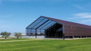 Investigación y creación de variedades: grandes desafíos