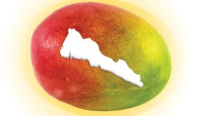 Manejo nutrimental integral de cultivo de mango